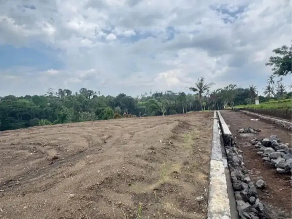 Dijual Murah Tanah Area Gianyar Bali Row Jalan Besar