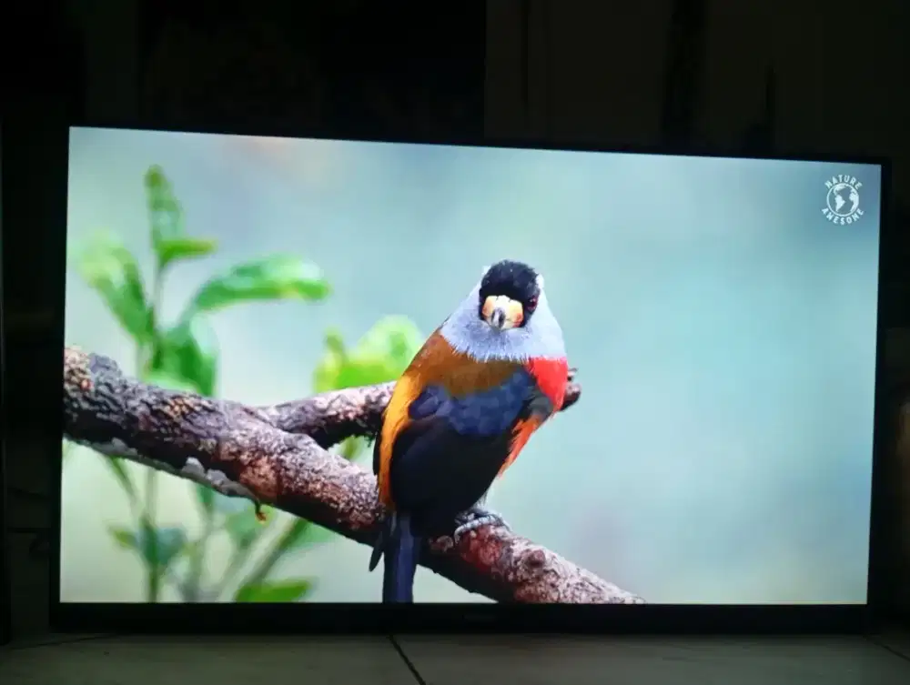 ANDROID TV XIAOMI 32 IN
