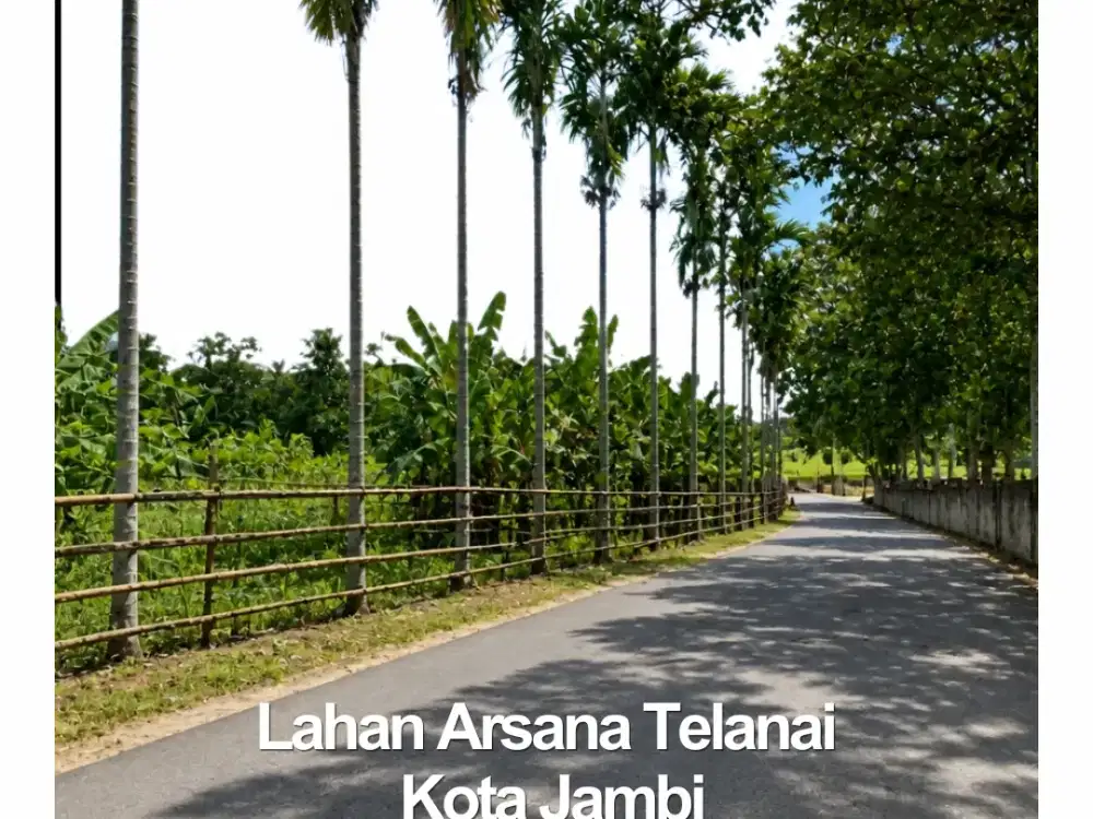 Tanah Cocok Untuk Rumah Telanaipura, 5 Menit ke Jamtos