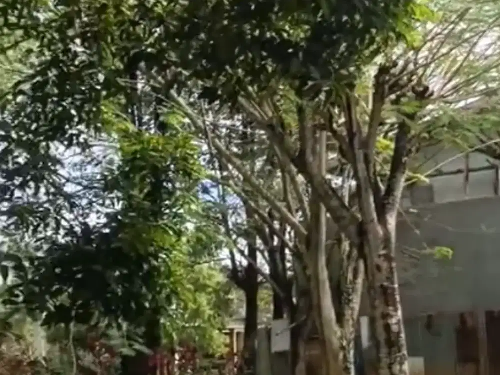 Dijual Kavling Hook 245M2 di Ammarila Avani By Rumah Chinida (Dw)