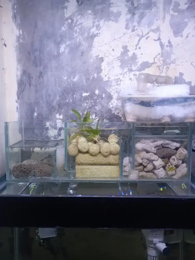 Aquarium ukuran 40x20x25 + Filter ukuran 38cm