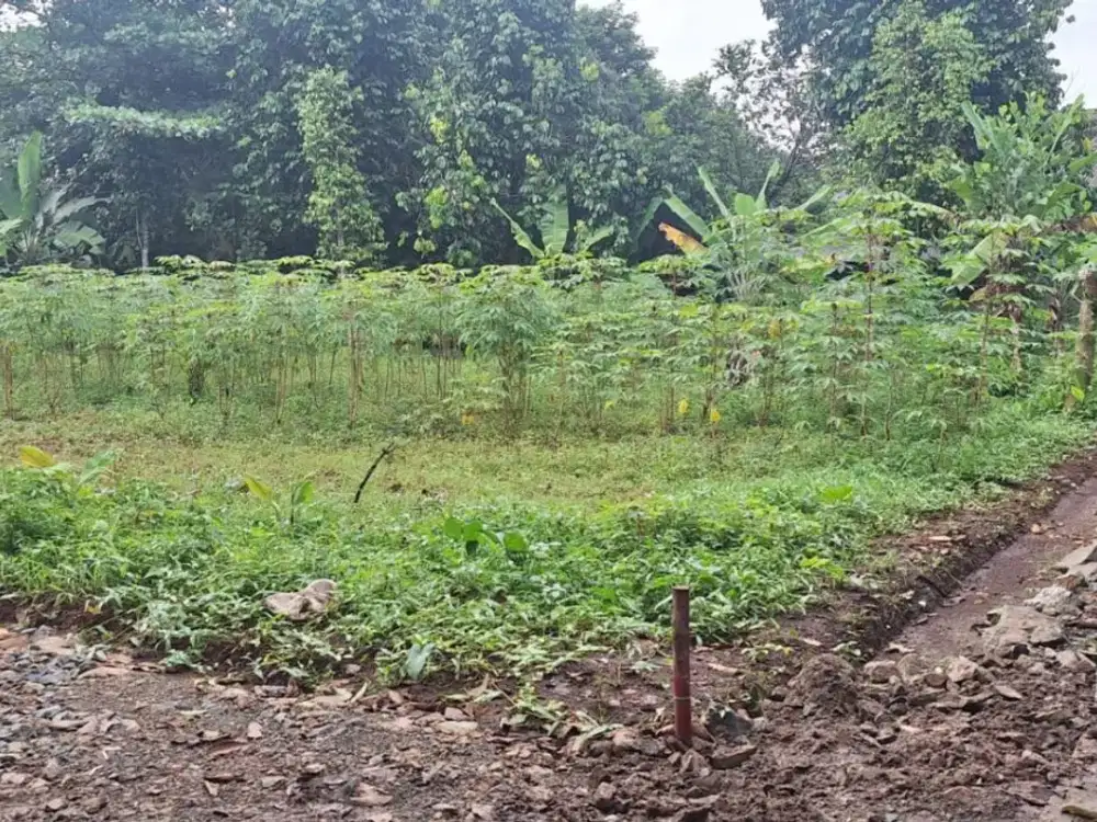 Kavling Bekasi Murah 5 menit Taman Sari Forest, Cocok Investasi