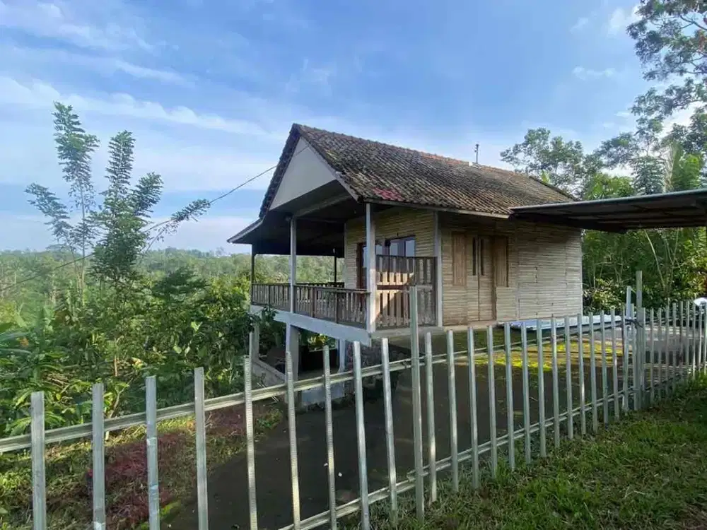 jual villa kebun kopi sanda pupuan Tabanan