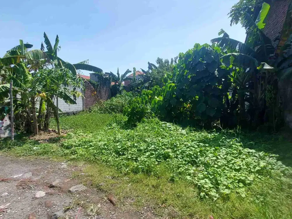 Tanah Murah Lokasi Sugihwaras Candi Sidoarjo