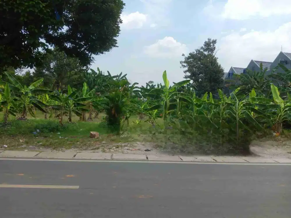 TANAH BAGUS JALAN RAYA HAJI JAMAT CIATER BSD