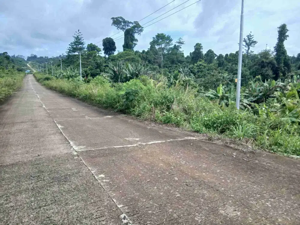 Jual Tanah 36 Hektar di Kab.Sorong  Jln.Bandara