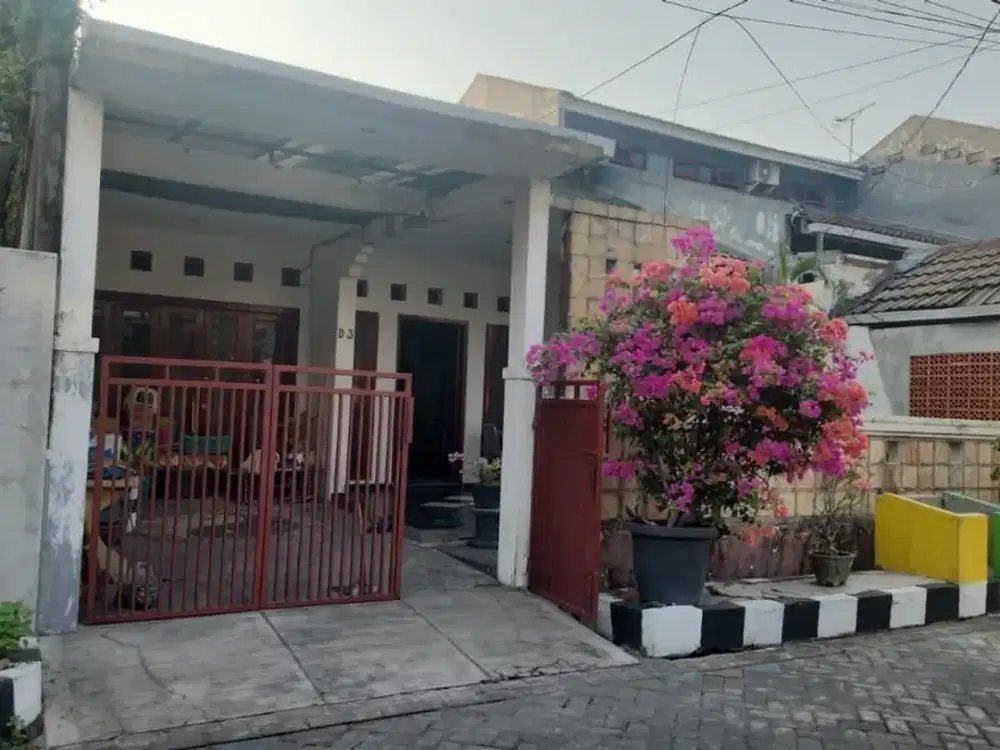 rungkut permai