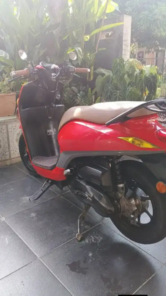 Honda Genio 2019