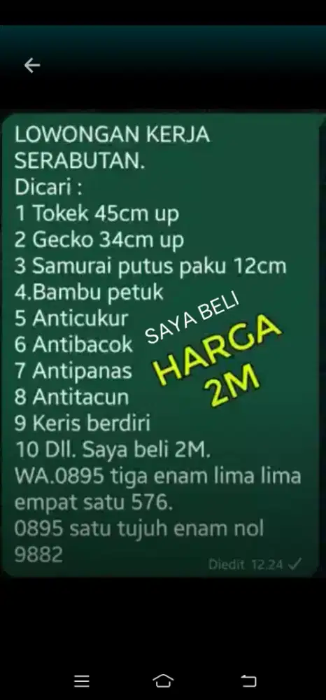 Loker tokek dan barang Antik dicari Leuwiliang