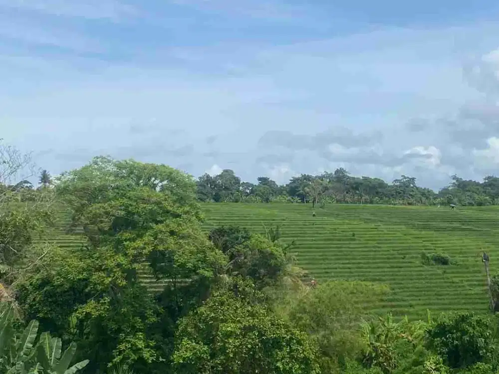 Tanah Murah Full View Sawah dan Sungai