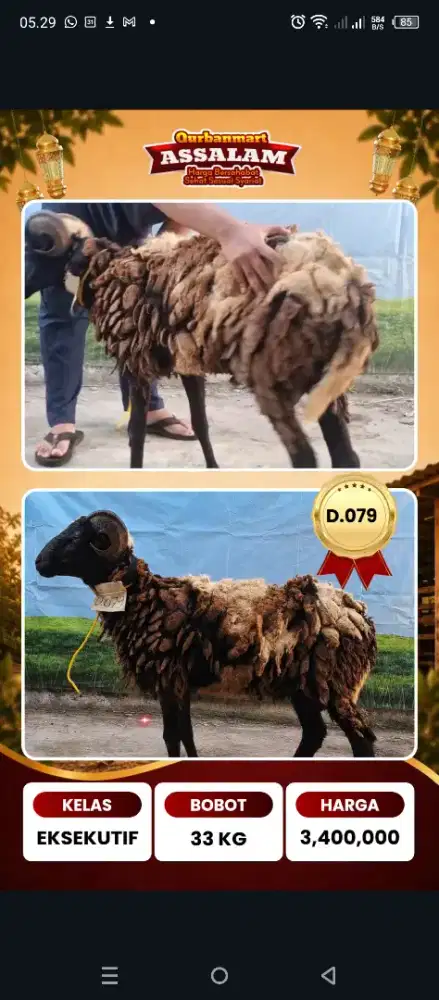 Qurban eksekutif 2026, Bandung gratis Ongkir