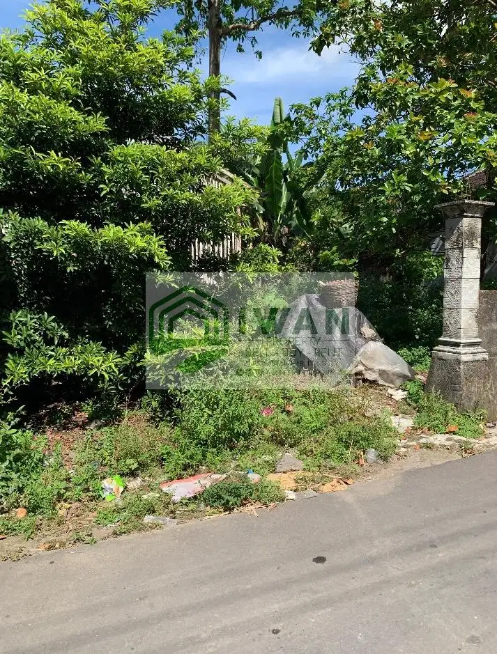 Tanah Pekarangan Strategis Hadap Jalan Aspal Desa