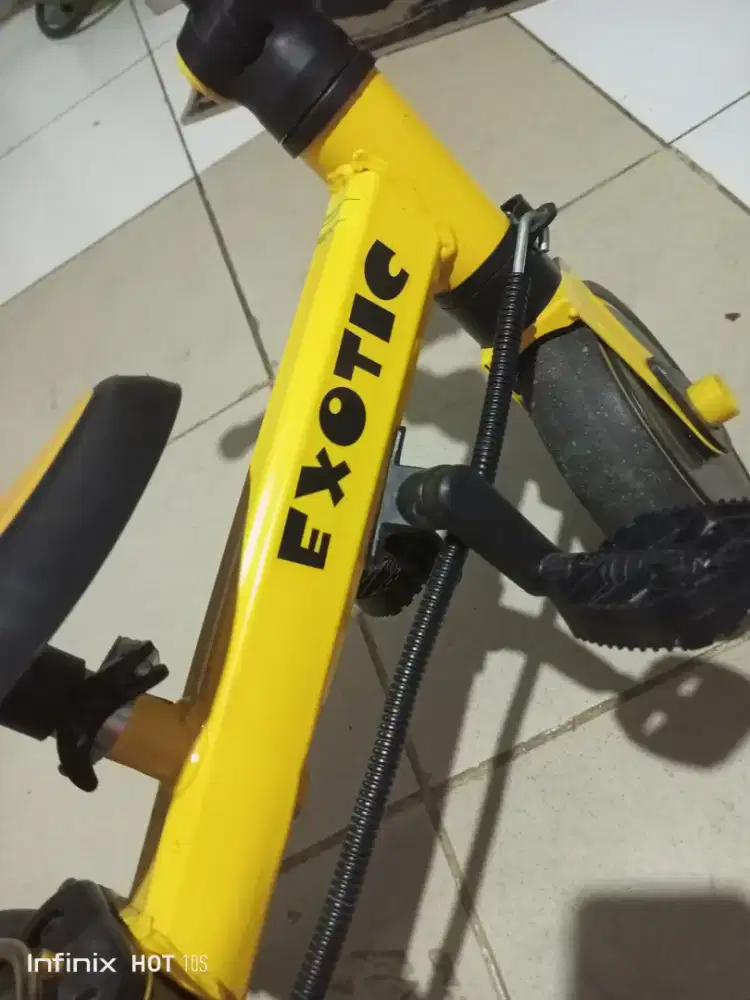 Sepeda roda 3 merk exotic