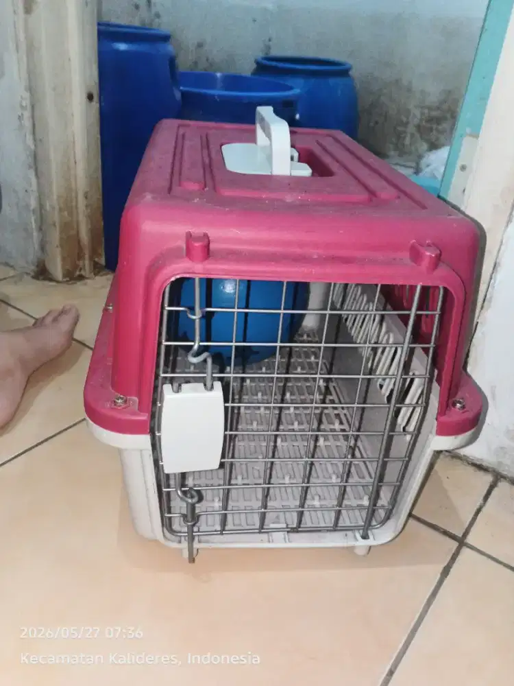 kennel box anjing kecil/kucing