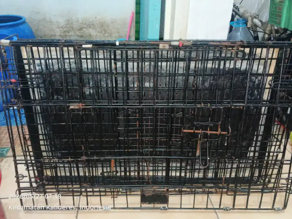 kandang ukuran besar muat 2-3ekor
