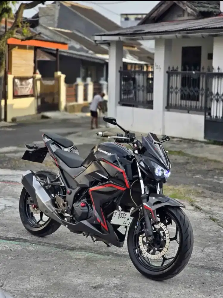 Kawasaki Z 250 Tahun 2013