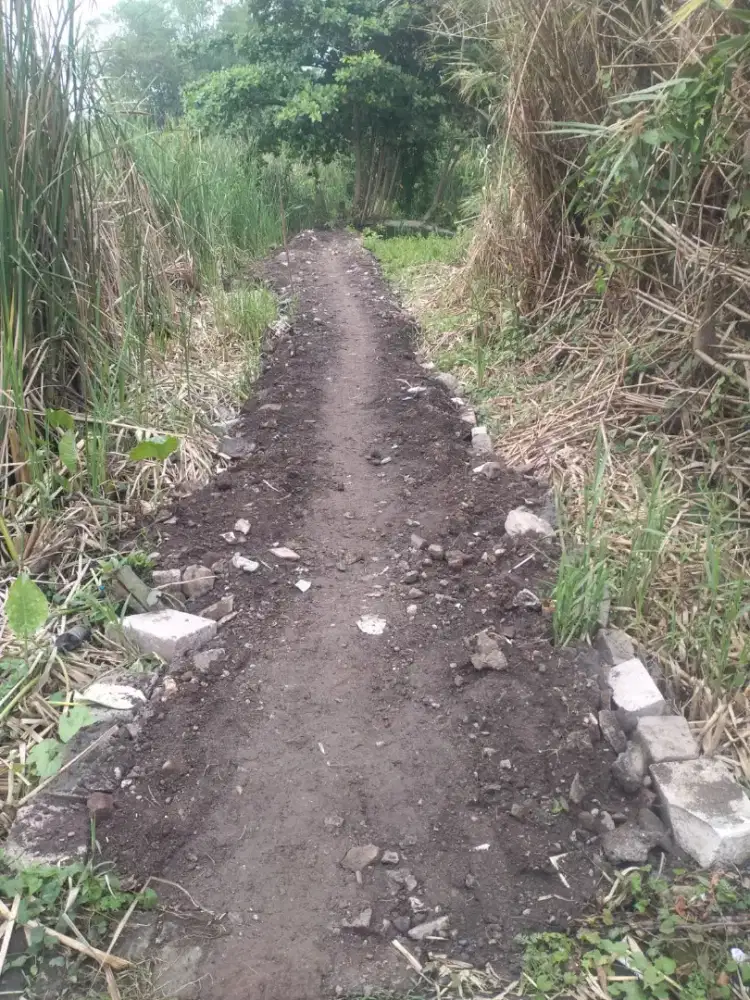 Di Jual Tanah Kavling Masangan Wetan