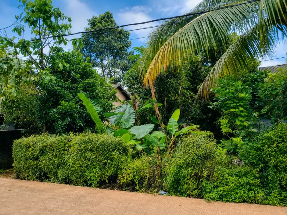 100 METER JUAL BUTUH TANAH PRIBADI