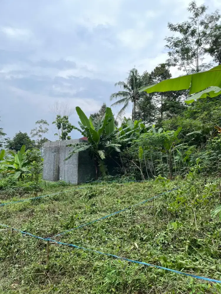 Jual tanah murah Shm