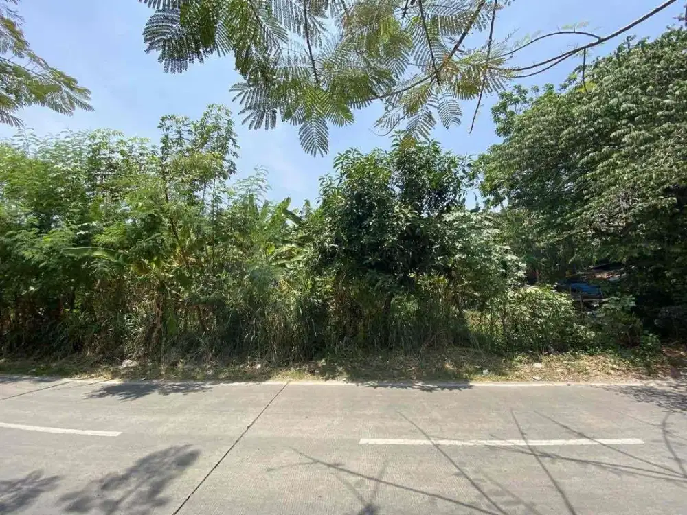 KAVELING MURAH DEKAT BINTARO BSD Jl.Merapi, swadaya serua Ciputat