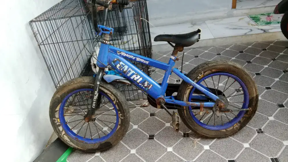Sepeda anak kecil