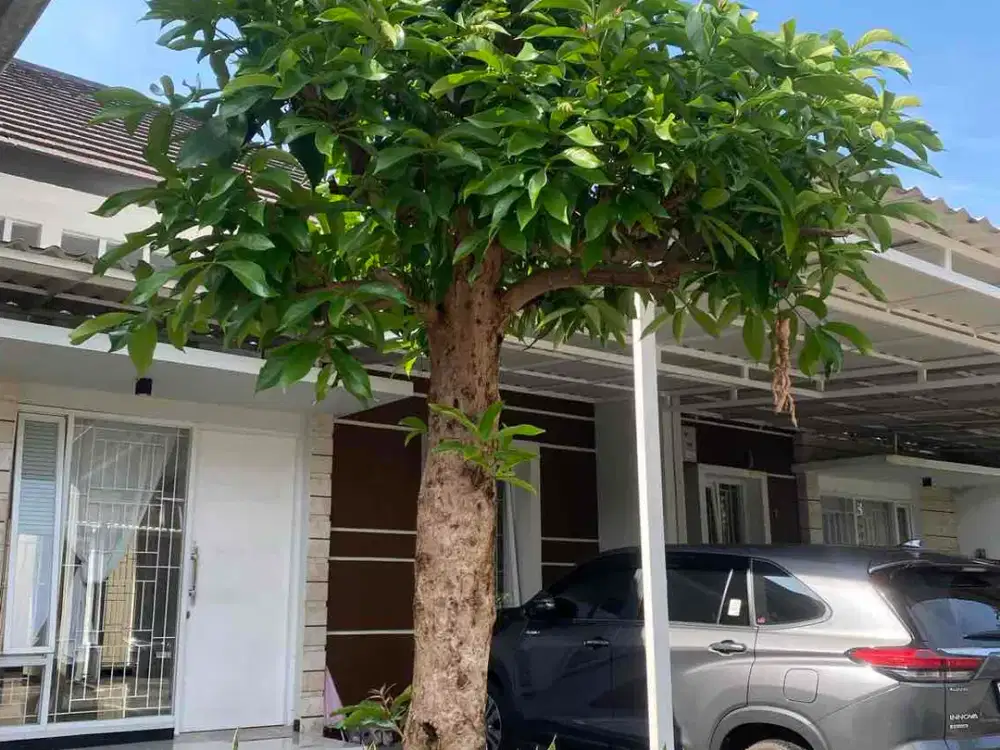 sewa rumah full renovasi lingkungan tenang dan nyaman