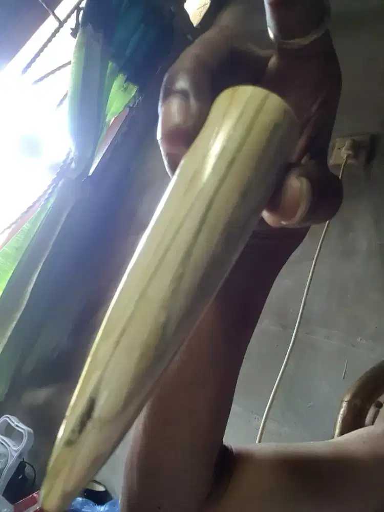 Cangklong pipa restorasi gdg