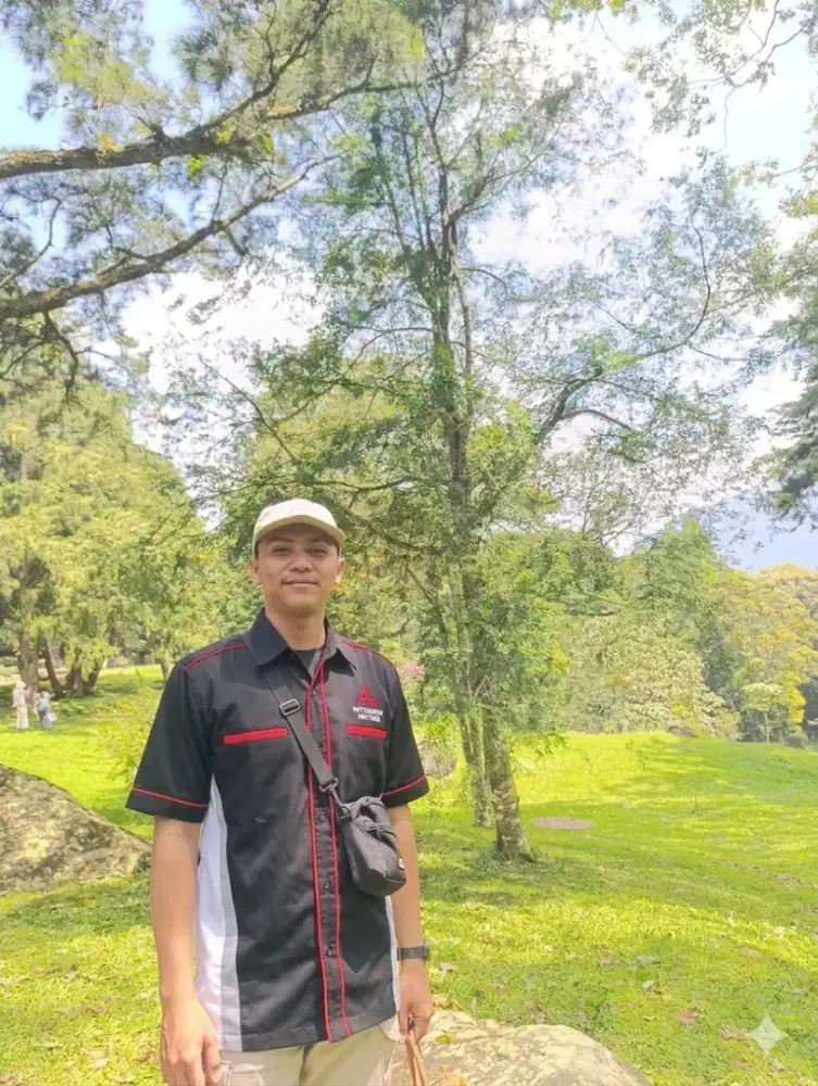Bapak/ibu lagi cari mobil pribadi/ usaha?