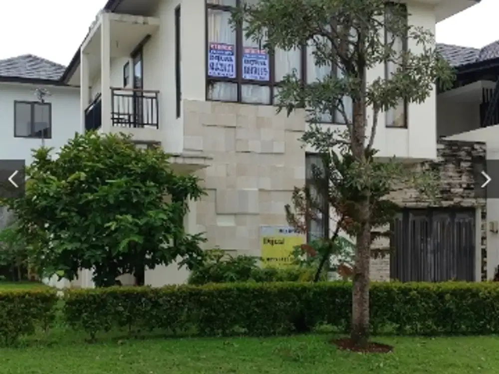 Rmh Sentul Nirwana SHM. 9 Pohon duren musang king/ monthong