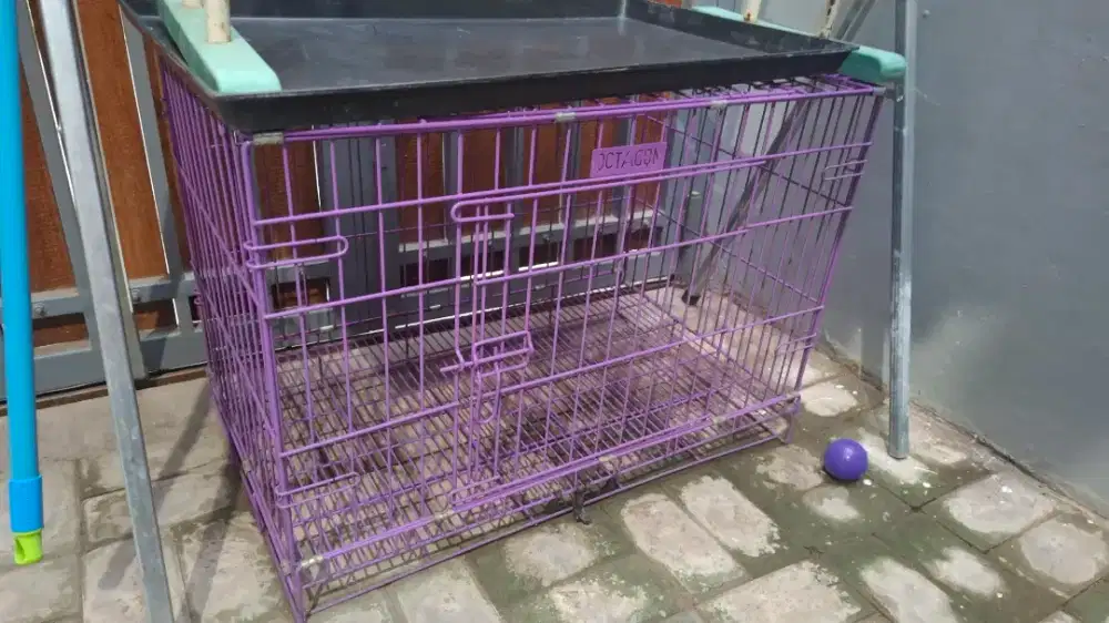 Kandang kucing bekas bagus