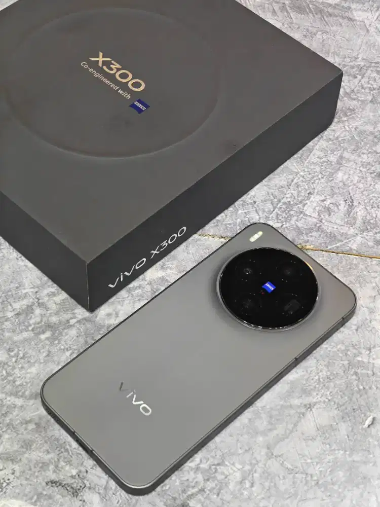 Vivo X300 12/256gb