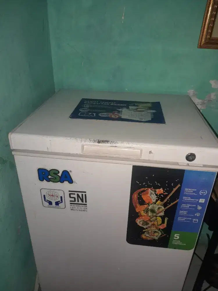 Freezer Box 100 Liter