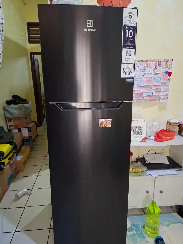 Electrolux Kulkas 2 pintu
