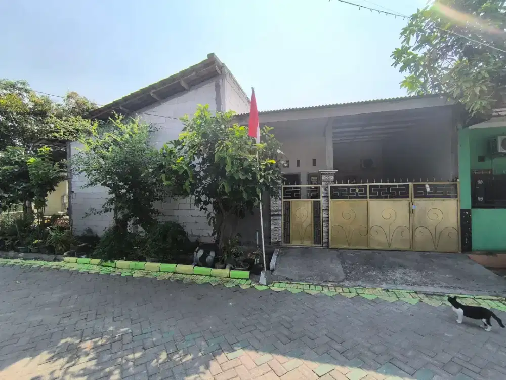 Dijual rumah pribadi 14x15 Pojok Bangunan Baru Tulangan Sidoarjo