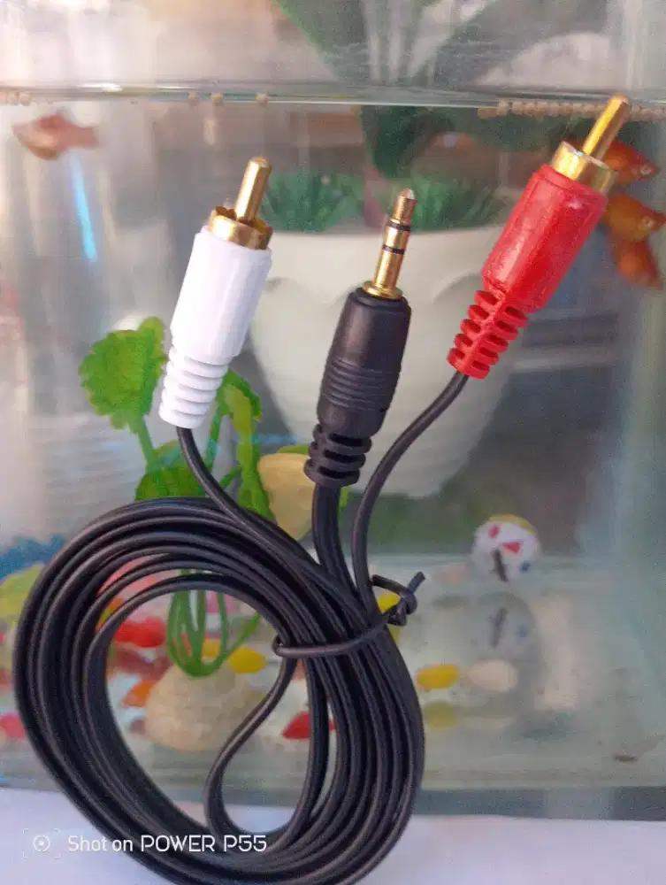 Kabel Audio 2 Cabang