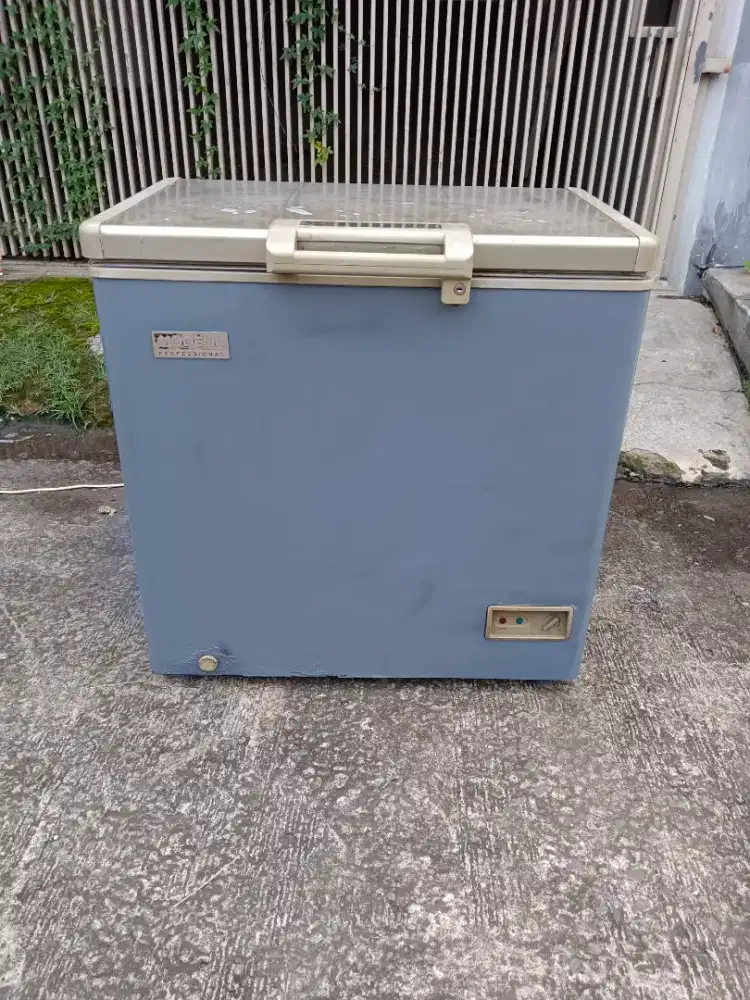 Frezer box Modena 200 liter