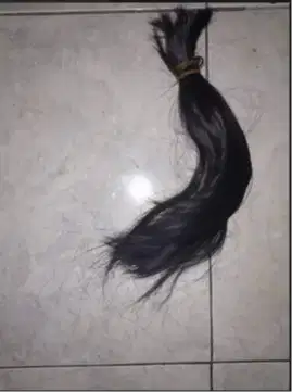 Rambut Potong Asli +-40cm