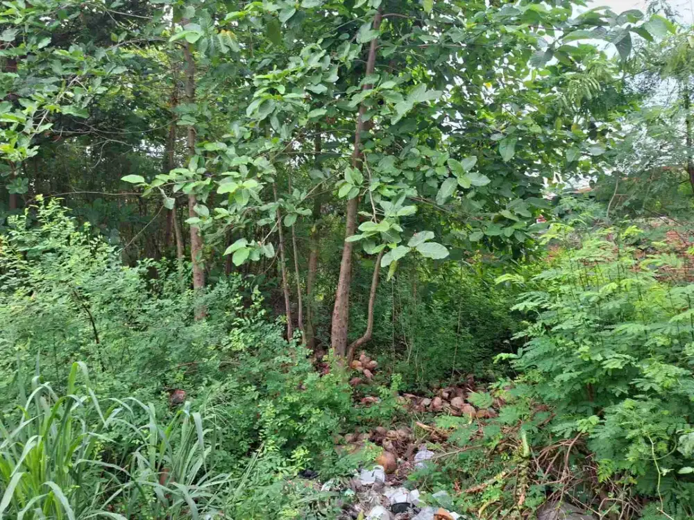 Jual Tanah pinggir jalan raya dekat Summarecon Bekasi