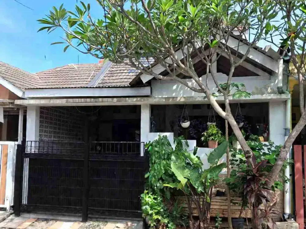 rumah dijual SHM siap huni, Asri dan bebas banjir