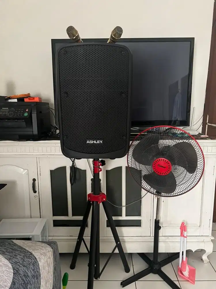 Speaker karaoke Ashley IR500