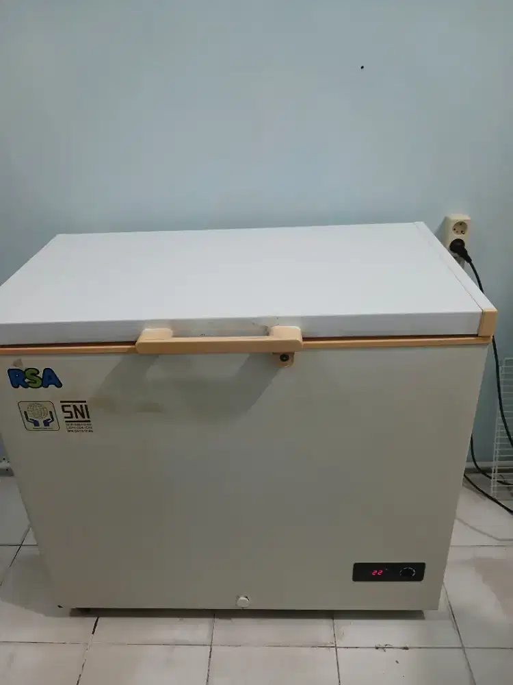 Freezer RSA 220 Liter