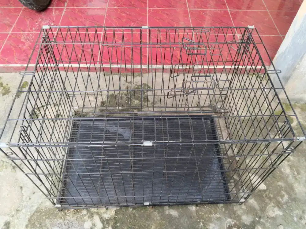Kandang besi bekas anjing
