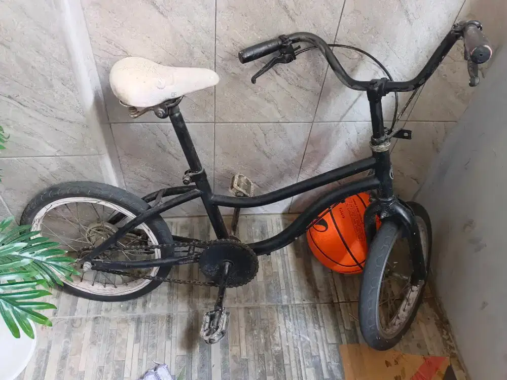 Sepeda Polygon anak