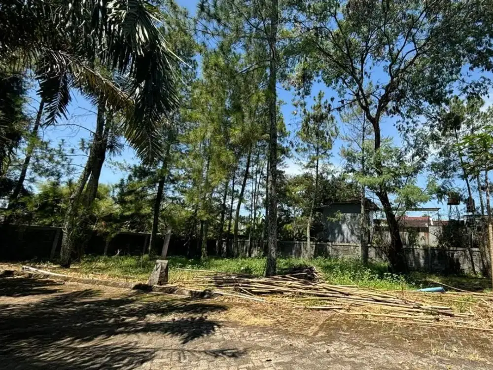 Tanah Paling Murah Termurah Jauh Dibawah Harga Pasar Jalan Randu Sari Raya Antapani Bandung