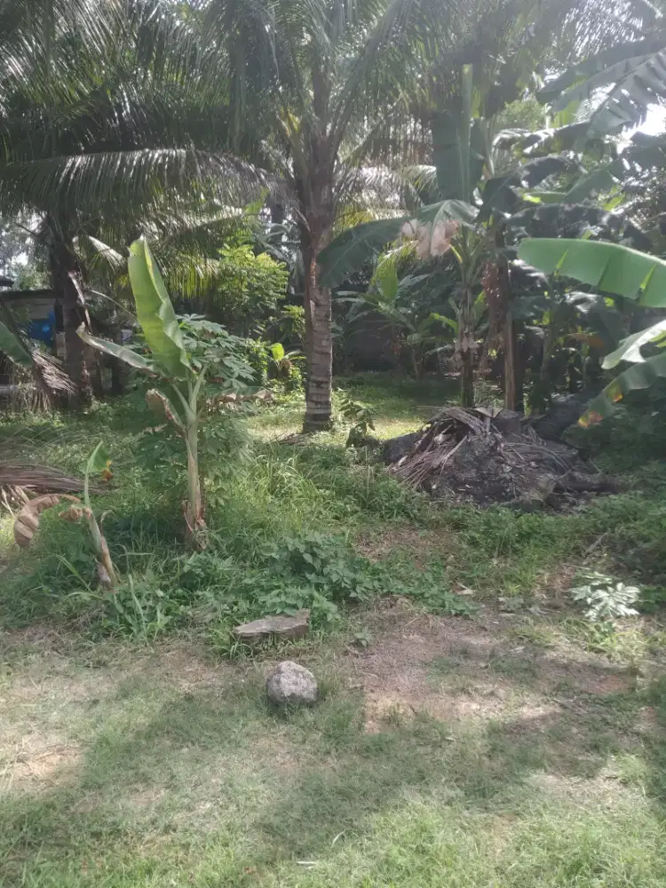 Dijual tanah Depan mesjid pango Raya