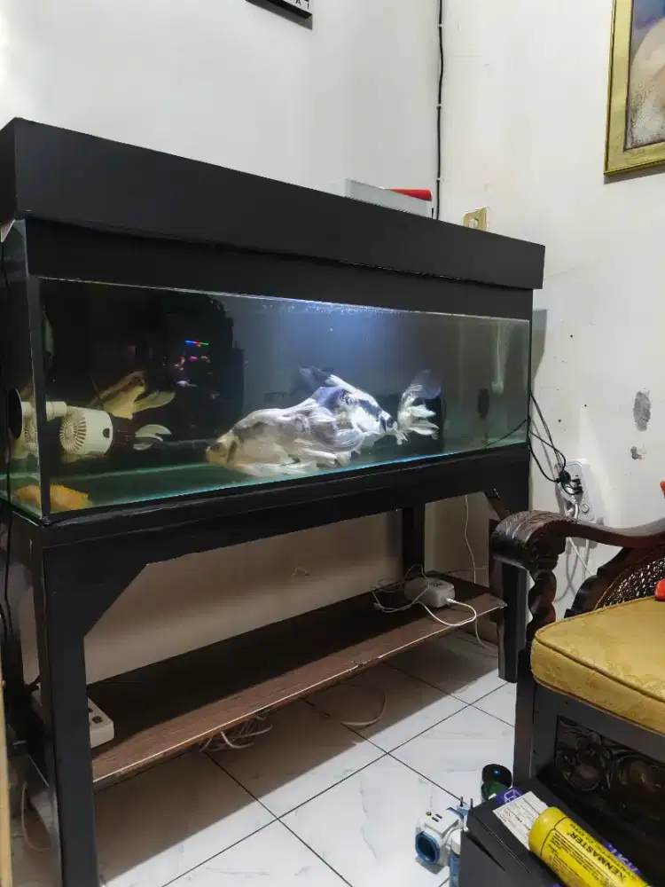 Aquarium full set 120x40x40