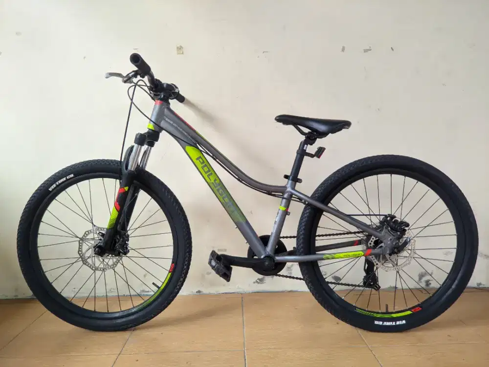 sepeda MTB anak-remaja Polygon relic ukuran roda 24 inch