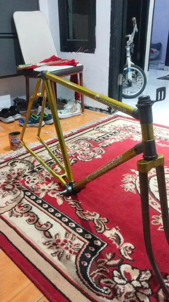 Frame set Fixie/commuter bike