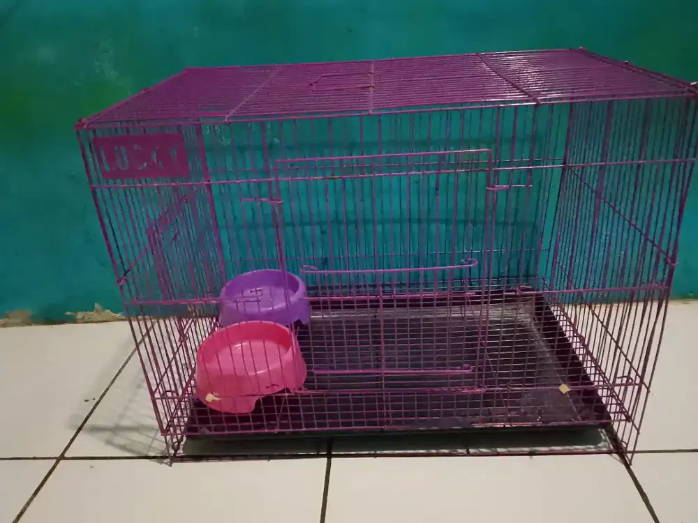 Kandang kucing merk lucky