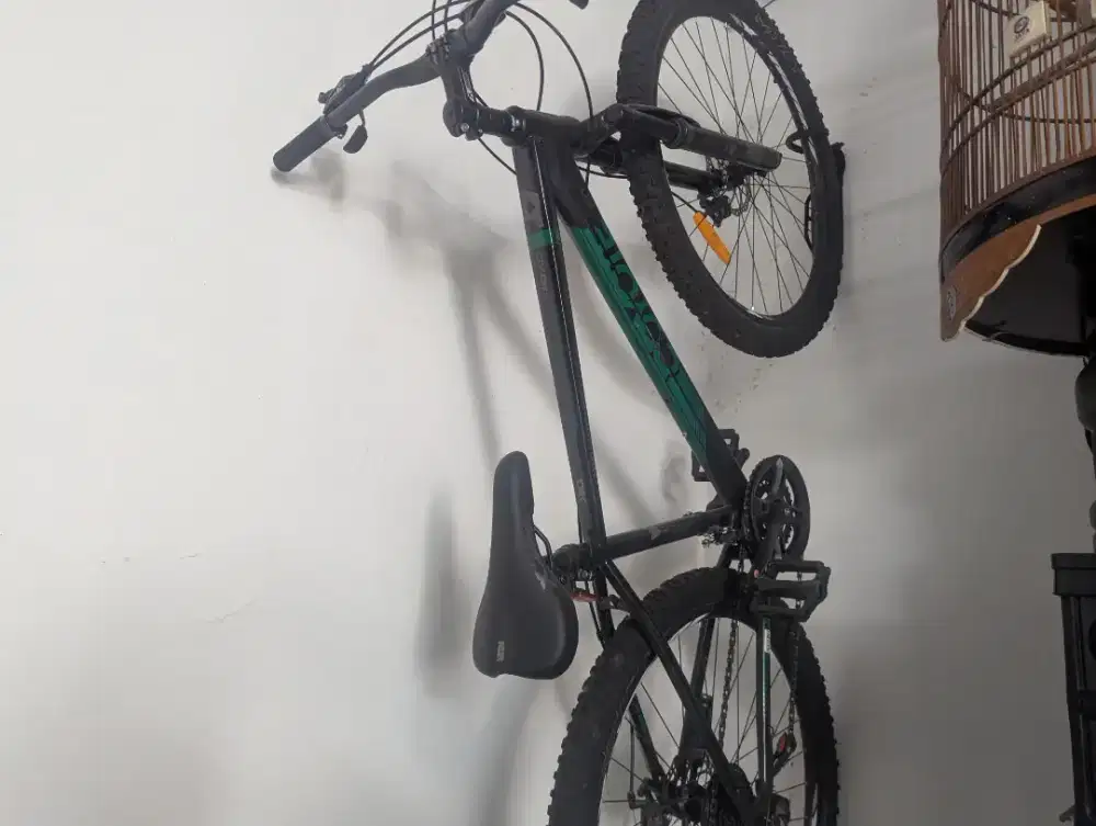Sepeda MTB Coyote